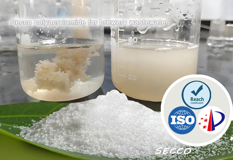 S&eacute;lection et efficacit&eacute; de la polyacrylamide (PAM) dans le traitement des eaux us&eacute;es de brasserie